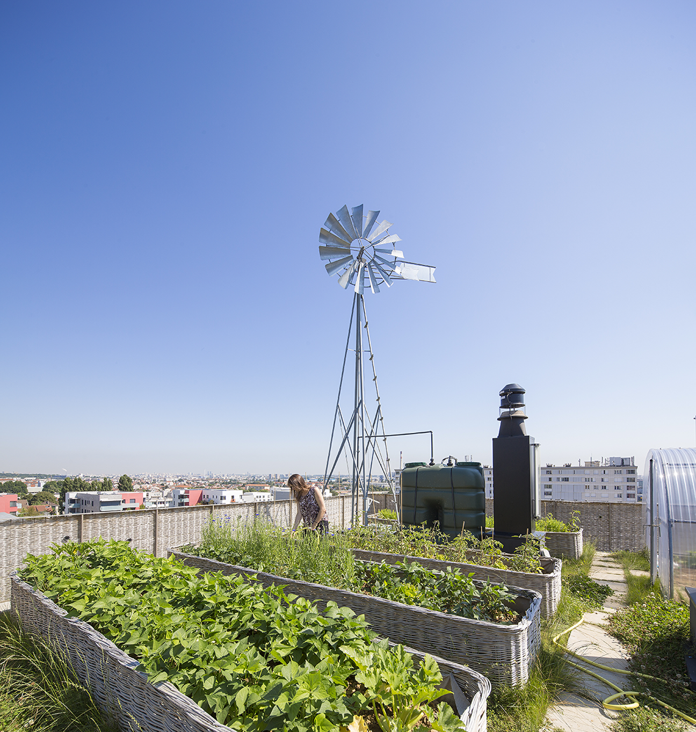Toit-terrasse, jardins potagers et serres horticoles de l’immeuble Le Candide, Vitry-sur-Seine, Bruno Rollet, architecte, 2011-2012, photographie de Luc Boegly, 2012 © Luc Boegly / Bruno Rollet Architecte