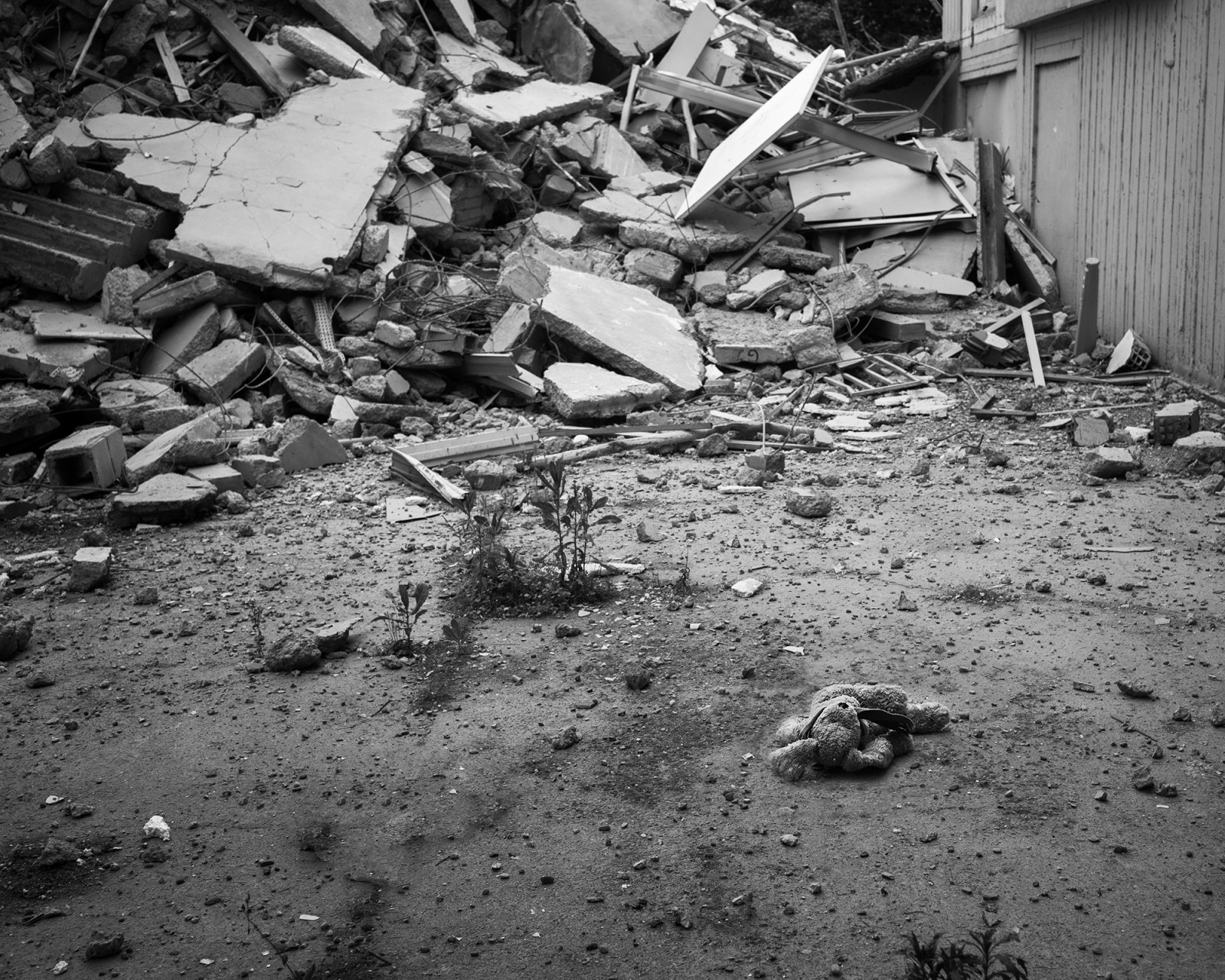 Petit ours en peluche abandonné dans les ruines de Glück. Toulouse. © Fabio Boucinha