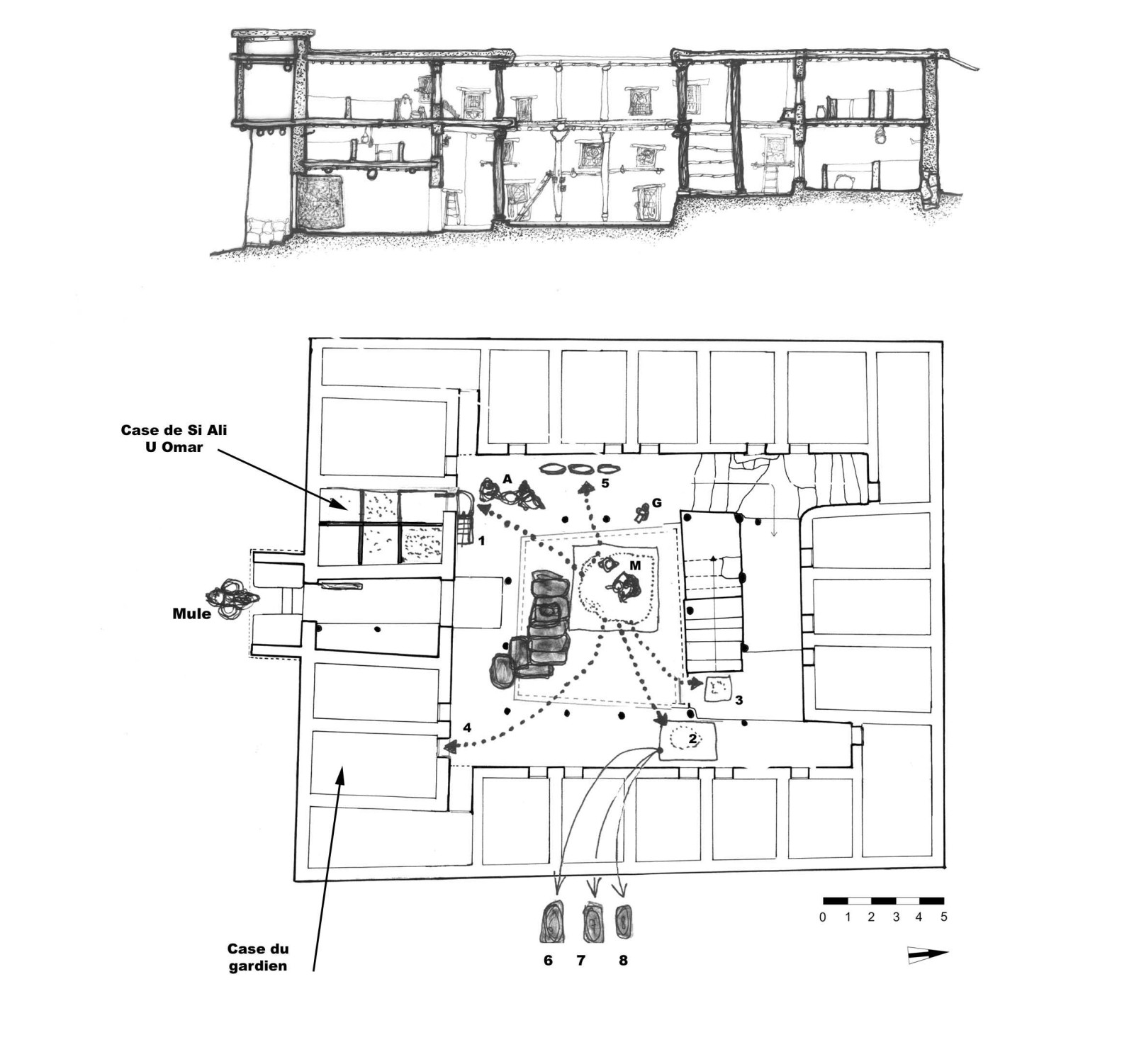 Plan et coupe du grenier de Tashdirt chez les Ayt Tidili (Haut-Atlas) illustrant l’organisation des flux de stockage entre l’entrée, la case du gardien et les cellules familiales comme celle de Si Ali U Omar. La cour centrale sert d’espace de pesée et de régulation, où les marchandises apportées par les mules sont acheminées vers une unité de mesure communautaire. De cette zone centrale, les flèches en pointillés décrivent la distribution équitable des denrées vers les différents recoins fortifiés et les cases du grenier.  © Salima Naji