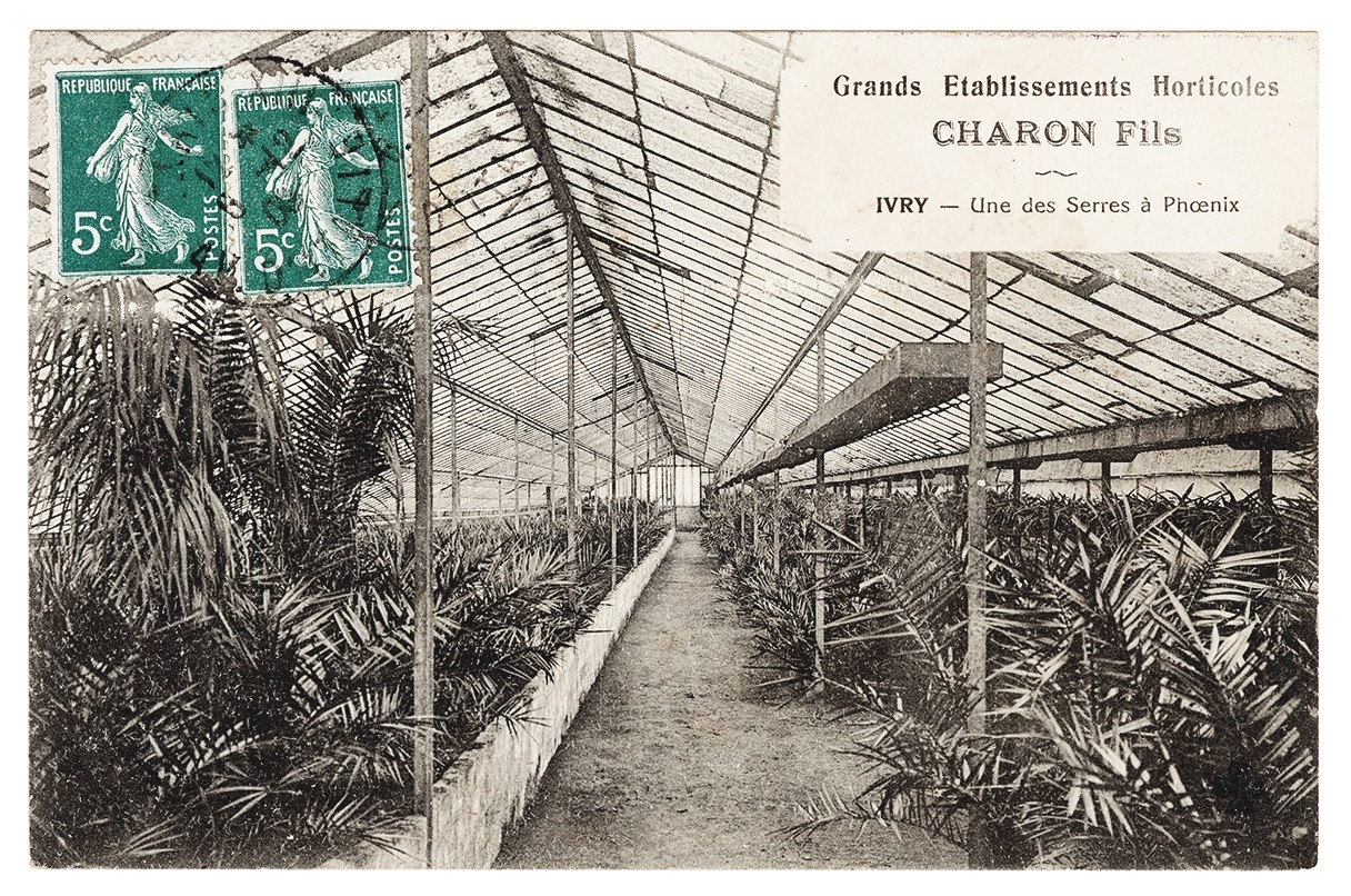Postcard, Ivry-sur-Seine, Charron Fils horticultural establishment, one of the Phoenix greenhouse, circa 1909. © Pavillon de l'Arsenal